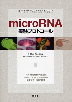 ｍｉｃｒｏＲＮＡ実験プロトコール