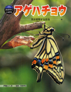 良書網 アゲハチョウ 出版社: アスク Code/ISBN: 9784860573461