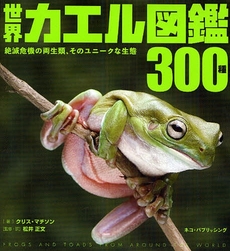 世界カエル図鑑３００種