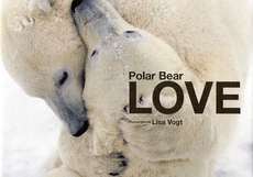 Ｐｏｌａｒ　Ｂｅａｒ　ＬＯＶＥ