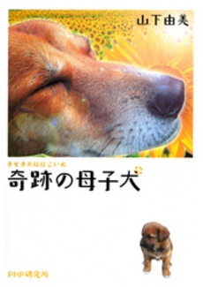 奇跡の母子犬