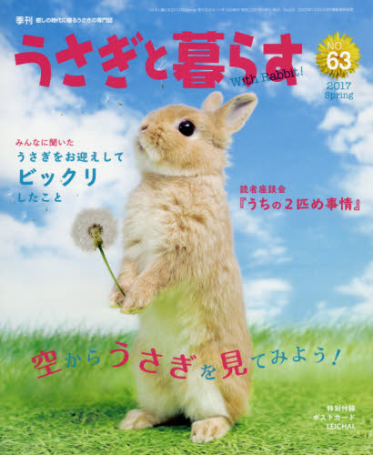 うさぎと暮らす