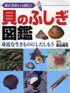 良書網 貝のふしぎ図鑑 出版社: PHP研究所 Code/ISBN: 9784569685557