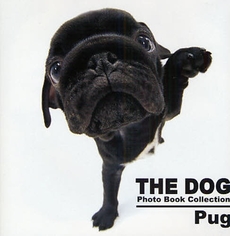 THE DOG Photo Book Collection Pug