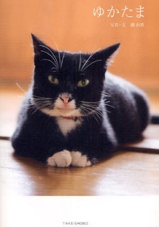 ゆかたま