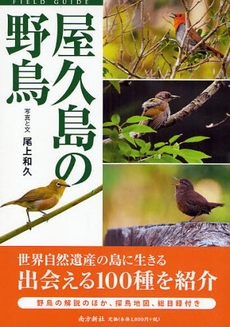 屋久島の野鳥