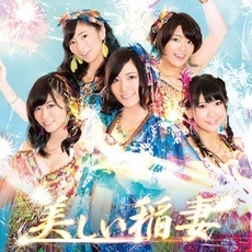 SKE48<br>美しい稲妻<br> ［CD+DVD］＜初回生産限定盤/Type-A＞