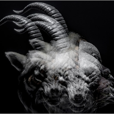 the GazettE<br>BEAUTIFUL　DEFORMITY＜通常盤＞