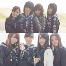 AKB48<br>鈴懸(すずかけ)の木の道で…（略）<br>やや気恥ずかしい結論のようなもの＜Type N＞［CD+DVD］【次回入荷予約】