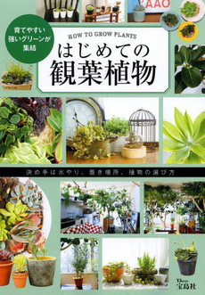 はじめての観葉植物