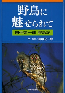 野鳥に魅せられて