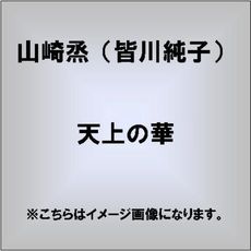 良書網 天上の華 出版社: 東洋出版 Code/ISBN: 9784809675911