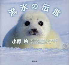 良書網 流氷の伝言 出版社: 日本教材ｼｽﾃﾑ Code/ISBN: 9784316802718