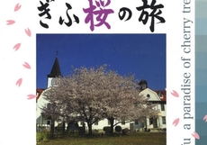 ぎふ桜の旅
