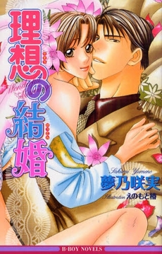 理想の結婚　新装版