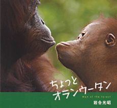 ちょっとオランウータン