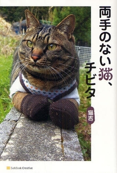 両手のない猫、チビタ