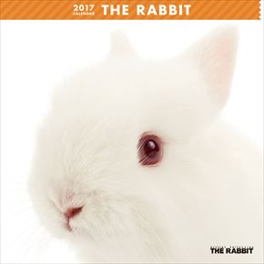 THE RABBIT