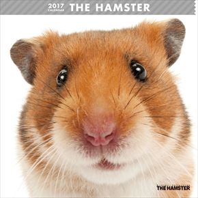 良書網 THE HAMSTER 出版社: Try-X Code/ISBN: CL-1148