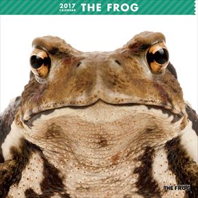 THE FROG