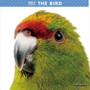 良書網 THE BIRD 出版社: Try-X Code/ISBN: CL-1150