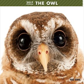 良書網 THE OWL 出版社: Try-X Code/ISBN: CL-1151