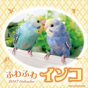 ふわふわインコ