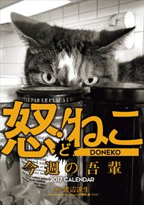 怒！ねこ 今週の吾輩