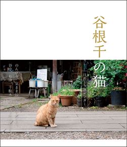 卓上 万年谷根千の猫