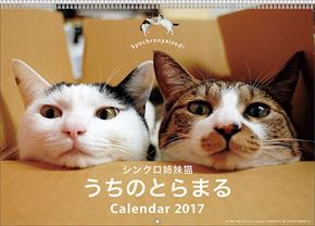 良書網 シンクロ姉妹猫うちのとらまる 出版社: Try-X Code/ISBN: CL-378