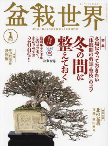盆栽世界　２０２３年１月号