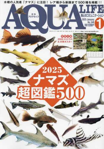 月刊アクアライフ　２０２４年１月号