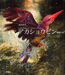 良書網 アカショウビン 出版社: 雷鳥社 Code/ISBN: 9784844135920