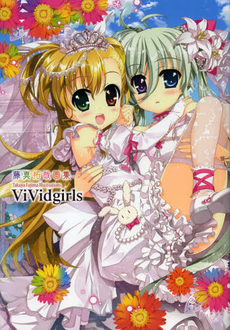 ＶｉＶｉｄｇｉｒｌｓ