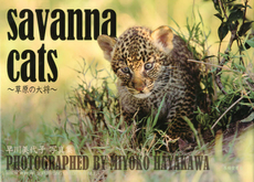 ｓａｖａｎｎａ　ｃａｔｓ