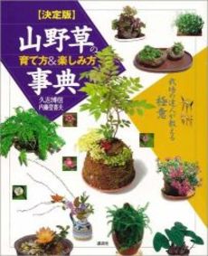 山野草の育て方&楽しみ方事典