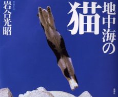 地中海の猫