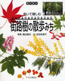 歩いて親しむ街路樹の散歩みち