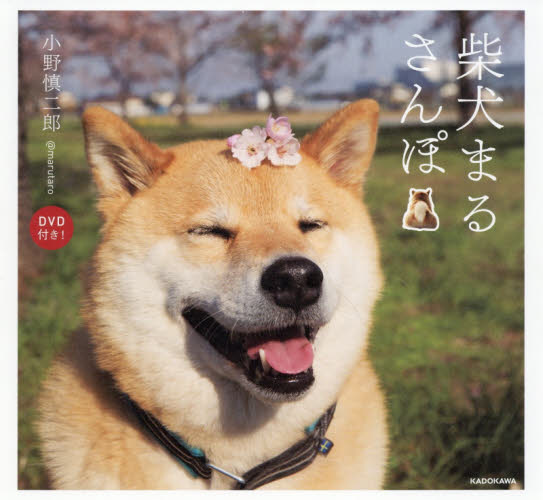 良書網 柴犬まるさんぽ 出版社: ＫＡＤＯＫＡＷＡ Code/ISBN: 9784040683119