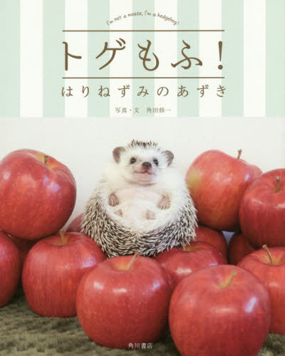 トゲもふ！はりねずみのあずき　Ｉ’ｍ　ｎｏｔ　ａ　ｍｏｕｓｅ，Ｉ’ｍ　ａ　ｈｅｄｇｅｈｏｇ！