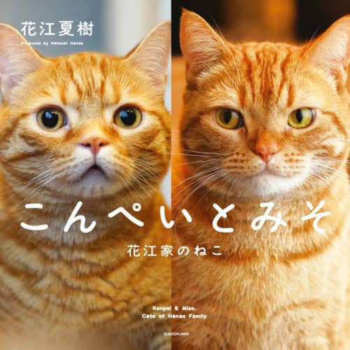 良書網 こんぺいとみそ　花江家のねこ 出版社: ＫＡＤＯＫＡＷＡ Code/ISBN: 9784046802163