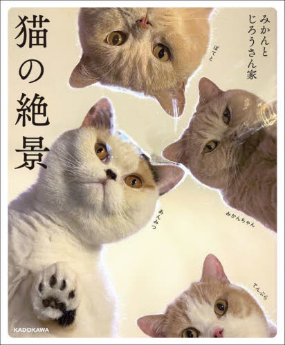 良書網 猫の絶景 出版社: ＫＡＤＯＫＡＷＡ Code/ISBN: 9784046810601