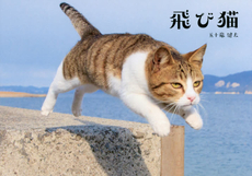 良書網 飛び猫 出版社: ＫＡＤＯＫＡＷＡ Code/ISBN: 9784047317314