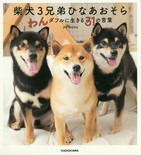 柴犬３兄弟ひなあおそら　わんダフルに生きる３１の言葉