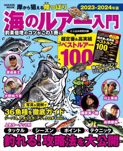 岸から狙える陸っぱり海のルアー入門　２０２３－２０２４年版