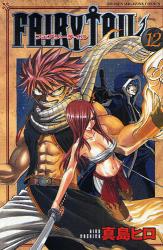 FAIRY TAIL  12