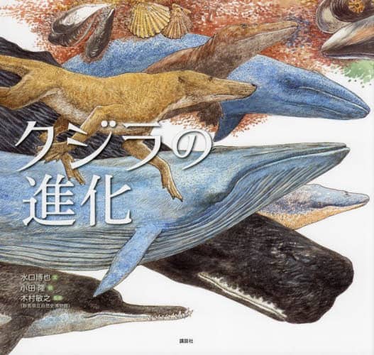 良書網日本 クジラの進化 講談社 9784065284223