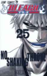 BLEACH ブリーチ 25