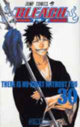 BLEACH ブリーチ 30