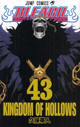 良書網 BLEACH －ブリーチ－ 43 出版社: 集英社 Code/ISBN: 9784088747941